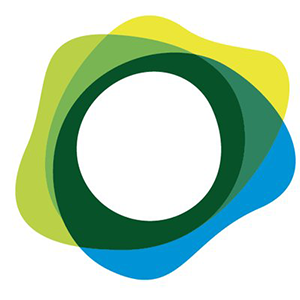 Paxos Standard Token 
